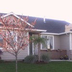 1 story Home with Hardi-plank Siding